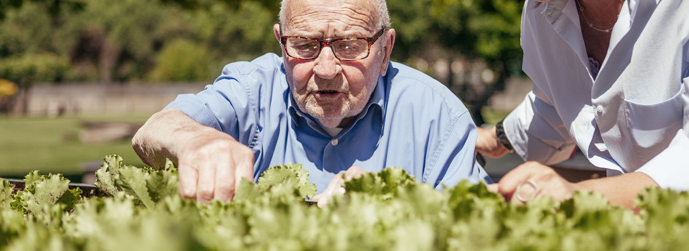 Avi de la Residència Mas Moner al petit hort del jardí.